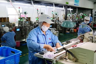 江蘇歐凱把握市場脈搏，深耕短保食品企業咨詢新藍海