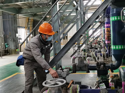 田東 防疫保供兩不誤 工業農業復工忙